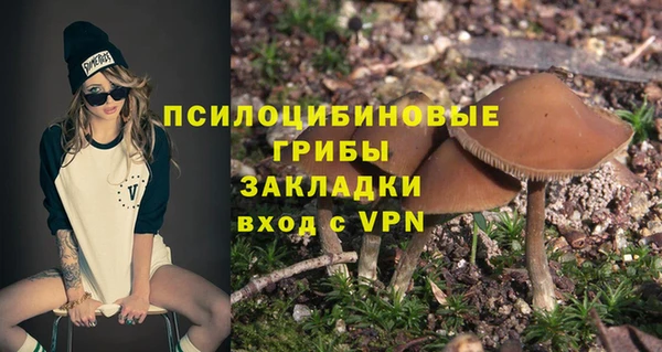 соль ск Навашино