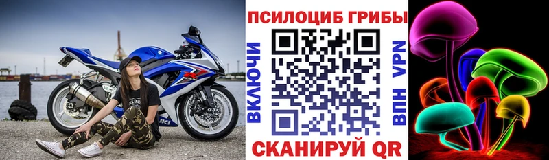 Галлюциногенные грибы GOLDEN TEACHER  Сковородино 